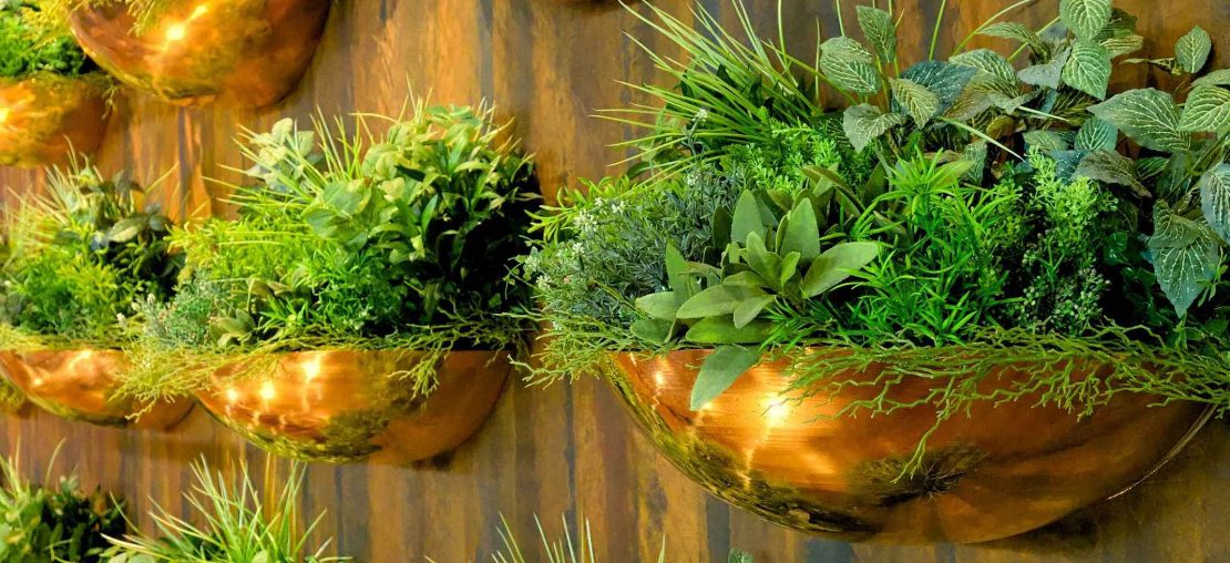 recursos ecológicos e sustentáveis