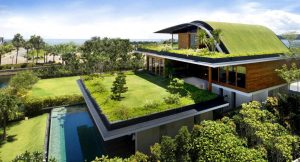 telhado verde ecológico