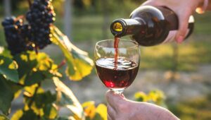 melhores vinícolas do mundo