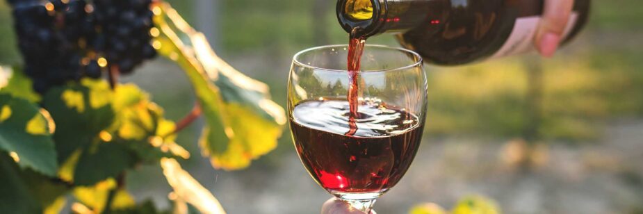 melhores vinícolas do mundo