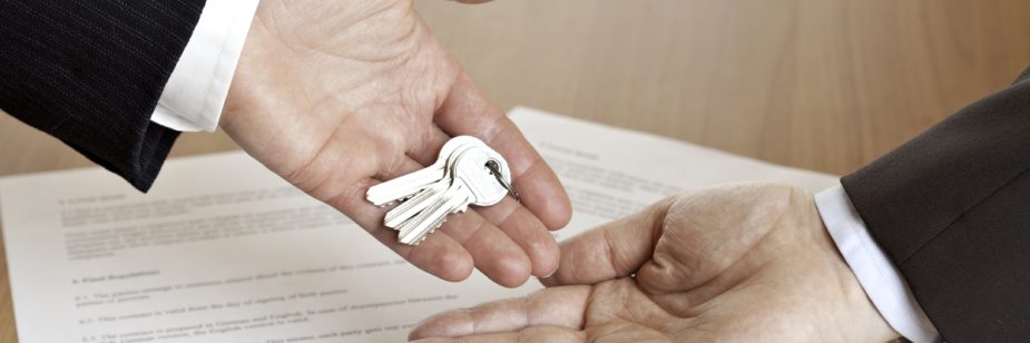 Reparos no imóvel alugado: o que é dever do locador e do locatário